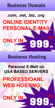 business domain, business hosting, .com domain, .net domain, , personal emails, web hosting, professional web hosting, professional website package.